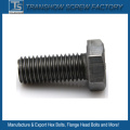 Low Carbon Steel Hex Bolt Plain Finish